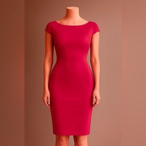 Tahari DarkFushia/Magenta Sheath Dress